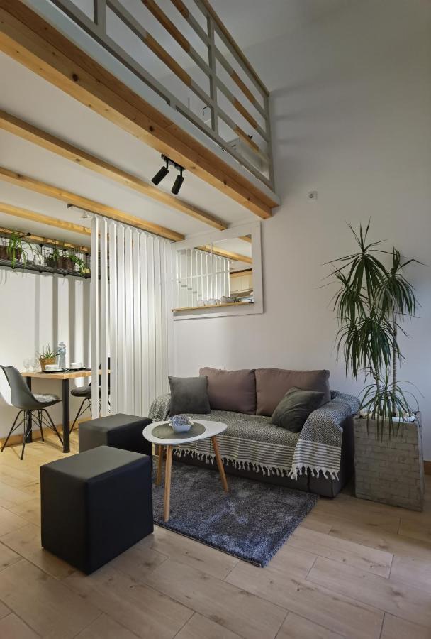 זרנג'נין Zona Apartments 1 מראה חיצוני תמונה